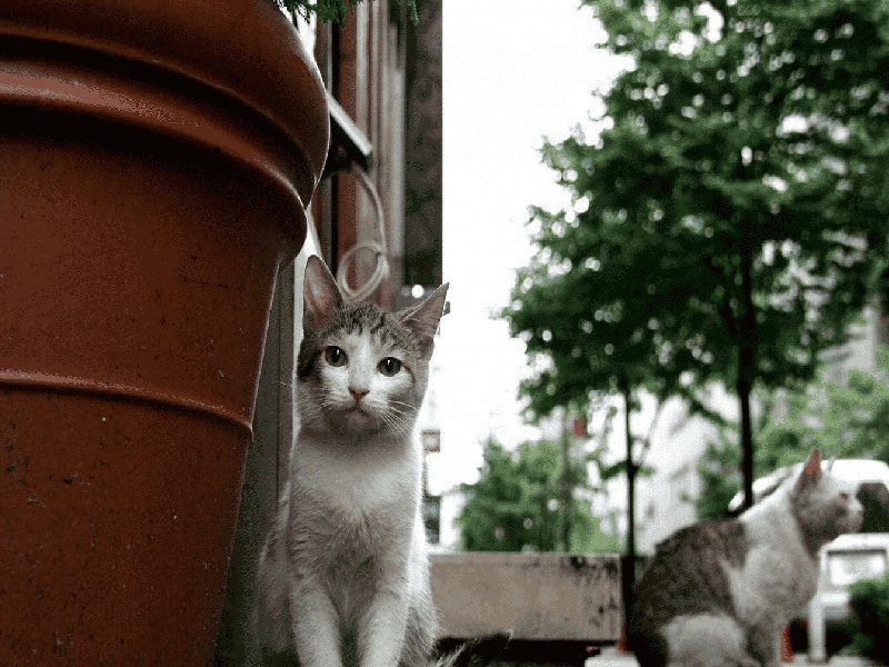 南昌代怀最好医院,泰国试管价格高吗？-南昌有没有供卵机构_南昌供卵试管医院